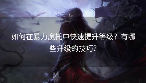 如何在暴力魔托中快速提升等级？有哪些升级的技巧？  第1张